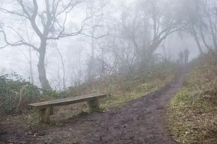 Two walkers on a path through trees on a foggy day, with a bench in the foreground.