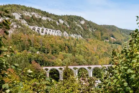 جنگل، تپه‌ها و دو پل هوایی.