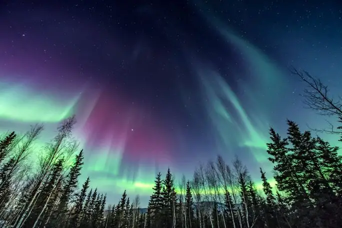 The Northern Lights
