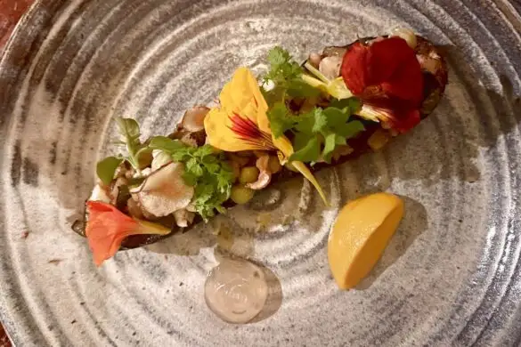 کدو مزرعه برچ