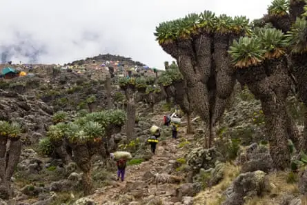 Guides and porters walking up slope of African mountain