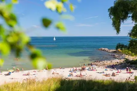 Sunny beach scene