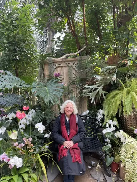 رزماری در پارک گیاه‌شناسی سئول، کره جنوبی.