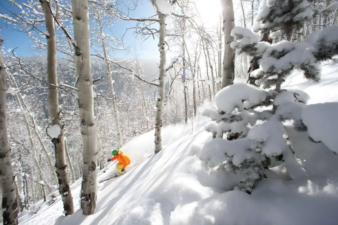 پیست‌های اسکی ویل