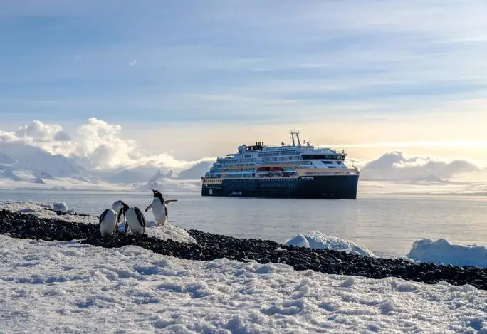 Penguins in Antarctica in front of the MS Roald Amundsen