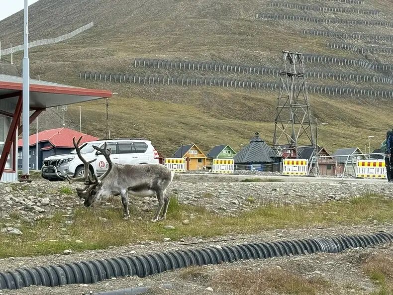سفر مخفیانه به قطب شمال؛ گشت‌زنی در طبیعت بکر اسوالبارد