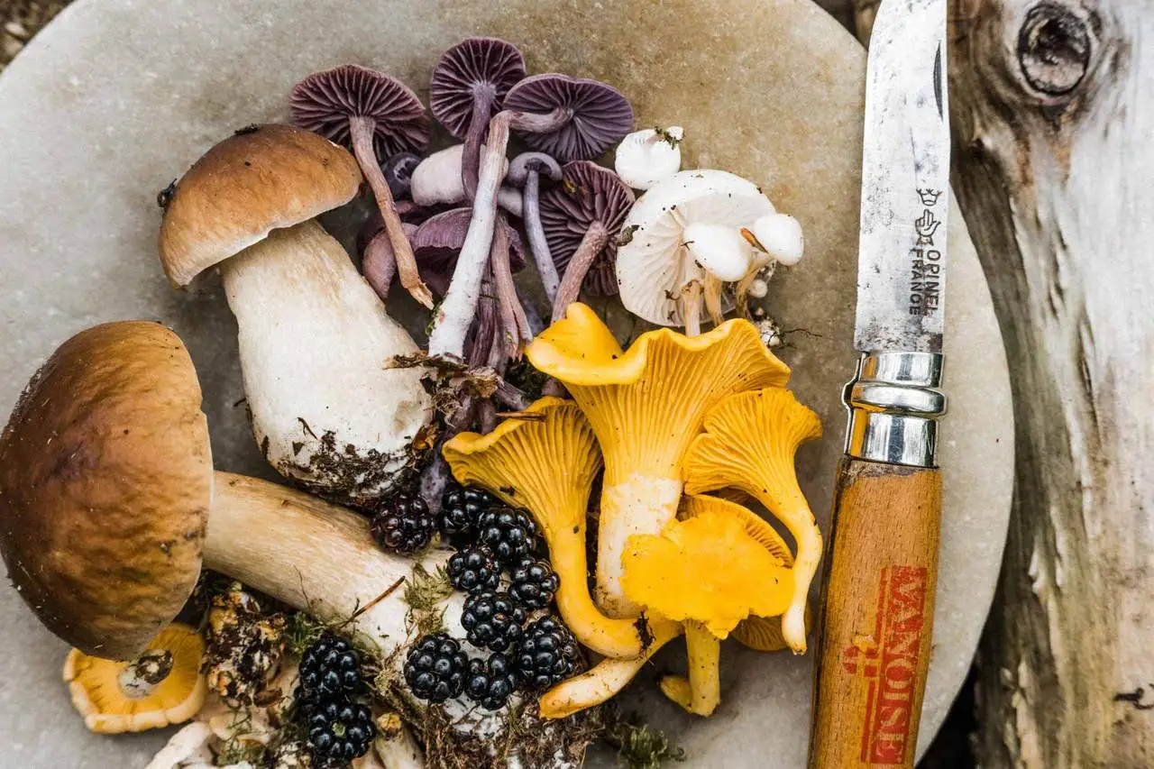 رستوران فارمرز آرمز یک تجربه مزرعه-به-میز در دوون شمالی است