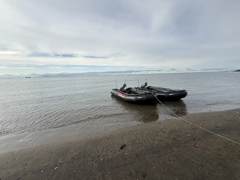 سفر مخفیانه به قطب شمال؛ گشت‌زنی در طبیعت بکر اسوالبارد