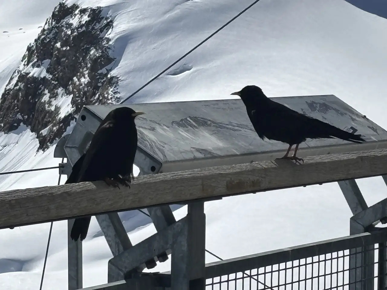 مسلماً مسیرهای سیاه هم وجود دارد...