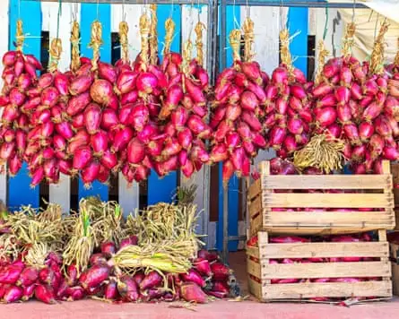 پیازهای صورتی روی یک پس‌زمینه آبی و سفید.